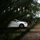 Illustration for article titled The 2020 Toyota Corolla Hybrid Has Killed the Prius and Stands Atop Its Grave